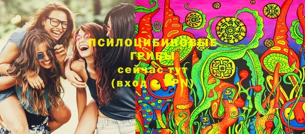 альфа пвп Армянск
