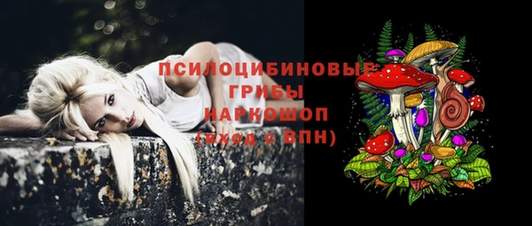 альфа пвп Армянск