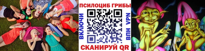 где купить наркотик  Кувандык  Псилоцибиновые грибы Magic Shrooms 